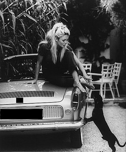click for enlarge 423 X 512 78,0 Kb picture