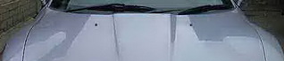 click for enlarge 526 X 114   8,2 Kb picture