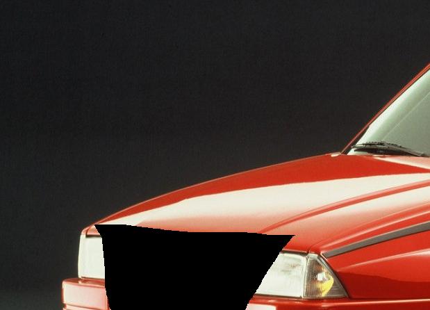 619 x 446