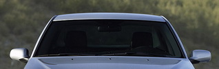 click for enlarge 1265 X 402  97,7 Kb picture