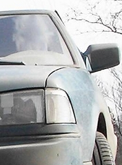 click for enlarge 260 X 351  47,9 Kb picture