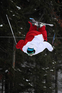 click for enlarge 667 X 1000 95,8 Kb picture