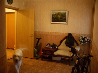 click for enlarge 563 X 422 127,5 Kb picture