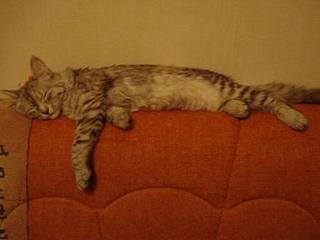 click for enlarge 448 X 336 15,5 Kb picture