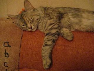 click for enlarge 448 X 336 22,2 Kb picture