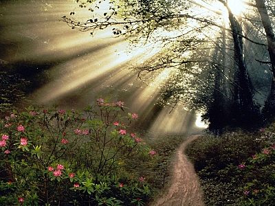 click for enlarge 800 X 600 269,2 Kb picture