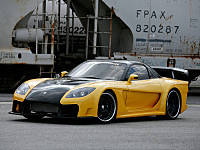 click for enlarge 800 X 600 362,6 Kb picture