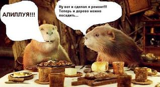 click for enlarge 600 X 326  35,1 Kb picture