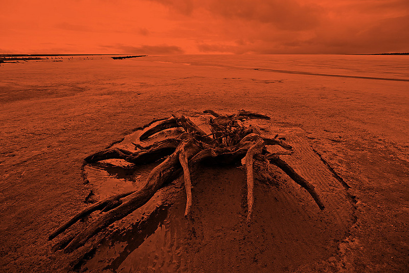 click for enlarge 1155 X 770 362,9 Kb picture