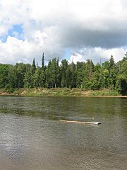 click for enlarge 360 X 480  35,3 Kb picture