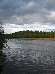click for enlarge 359 X 480 33,3 Kb picture