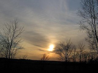 click for enlarge 512 X 384 36,7 Kb picture