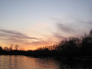 click for enlarge 512 X 384 25,8 Kb picture