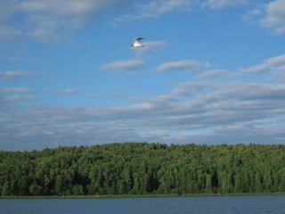 click for enlarge 604 X 453 34,3 Kb picture