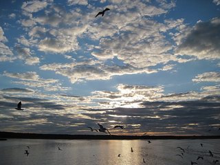 click for enlarge 604 X 453 53,6 Kb picture