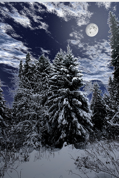 click for enlarge 1168 X 1752 373,3 Kb picture
