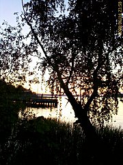 click for enlarge 360 X 480 66,2 Kb picture