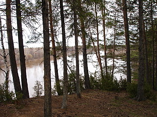 click for enlarge 1280 X 960 577,4 Kb picture
