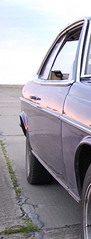 click for enlarge 306 X 802 138,4 Kb picture