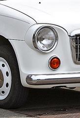 click for enlarge 298 X 438  37,1 Kb picture