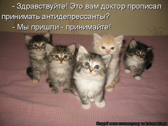 http://izhevsk.ru/forums/icons/forum_pictures/003325/3325756.jpg