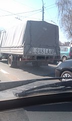 click for enlarge 1552 X 2592 606,1 Kb picture