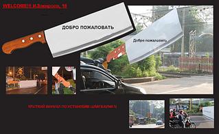 click for enlarge 1000 X 613  84,8 Kb picture