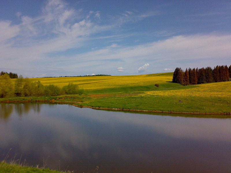 click for enlarge 1920 X 1440 331,7 Kb picture