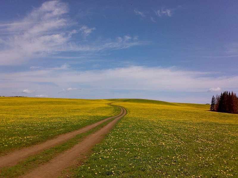 click for enlarge 1920 X 1440 463,7 Kb picture