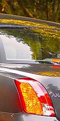 click for enlarge 256 X 518  27,3 Kb picture