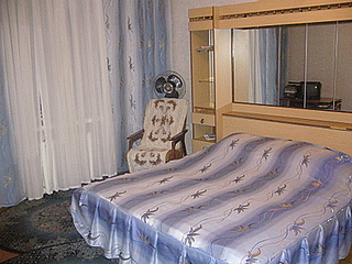 click for enlarge 400 X 300  68,8 Kb picture