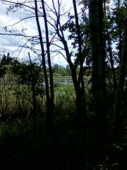 click for enlarge 1200 X 1600 568,8 Kb picture