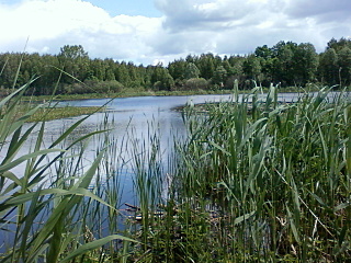 click for enlarge 1280 X 960 468,6 Kb picture