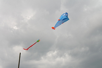 click for enlarge 1024 X 685 119,2 Kb picture