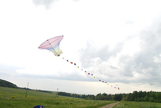 click for enlarge 1024 X 685 135,0 Kb picture