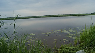 click for enlarge 1280 X 718 195,7 Kb picture