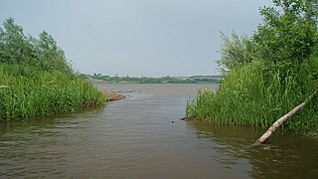 click for enlarge 1280 X 718 238,4 Kb picture