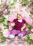 click for enlarge 424 X 600 134,0 Kb picture