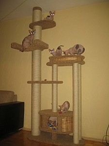 click for enlarge 1920 X 2560 589,2 Kb picture