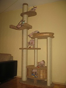 click for enlarge 1920 X 2560 498,2 Kb picture