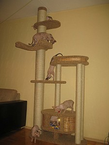 click for enlarge 1920 X 2560 552,3 Kb picture