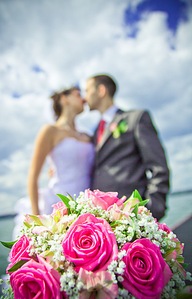 click for enlarge 658 X 1024 148,7 Kb picture