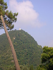 click for enlarge 1712 X 2288 686,5 Kb picture