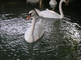 click for enlarge 1920 X 1436 422,0 Kb picture