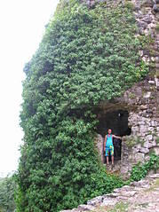 click for enlarge 1712 X 2288 750,4 Kb picture