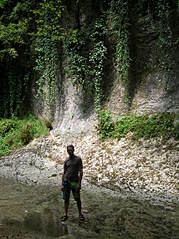 click for enlarge 1712 X 2288 787,0 Kb picture