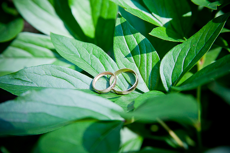 click for enlarge 1200 X 800 513,6 Kb picture