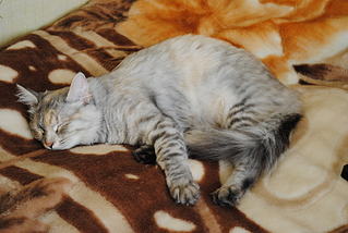 click for enlarge 1920 X 1285 260,3 Kb picture