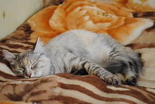 click for enlarge 1920 X 1285 205,3 Kb picture