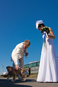click for enlarge 683 X 1024 536,3 Kb picture